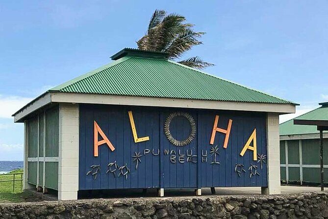 Punaluu Black Sand Beach Tour - Volcanoes National Park & Hilo - Exploring the Big Island’s Natural Wonders