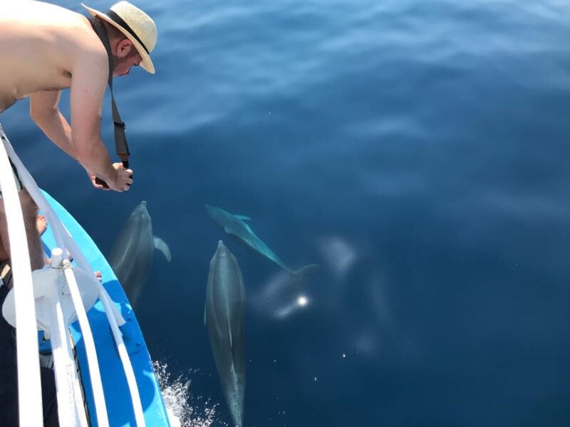 Punat: Grgur, Goli, Rab, and Krk Island Boat Trip With Lunch - Goli Island Walking Tour