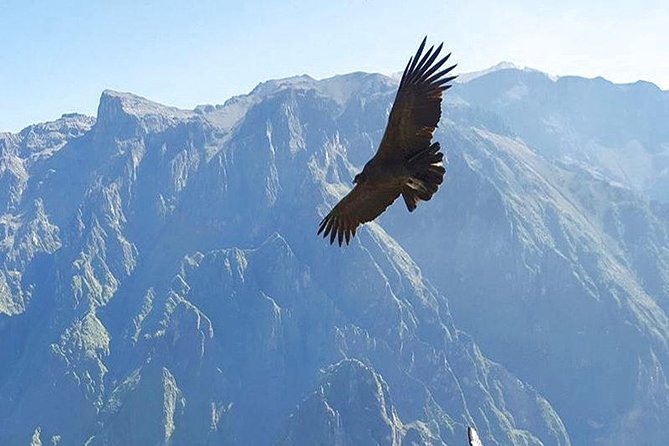 Puno, Chivay, and Colca Canyon 2 Days and 1 Night - Itinerary and Destinations