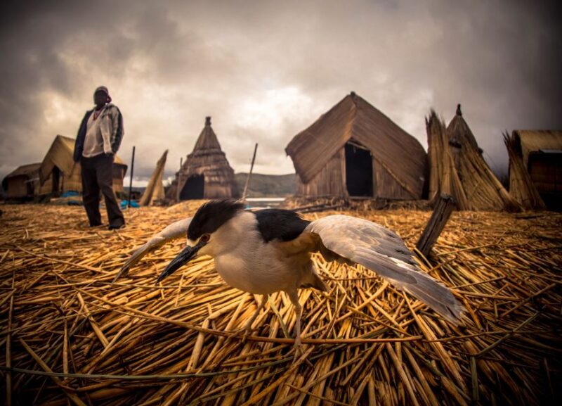 Puno: Uros and Taquile Islands Tour Including Lunch - Tour Overview