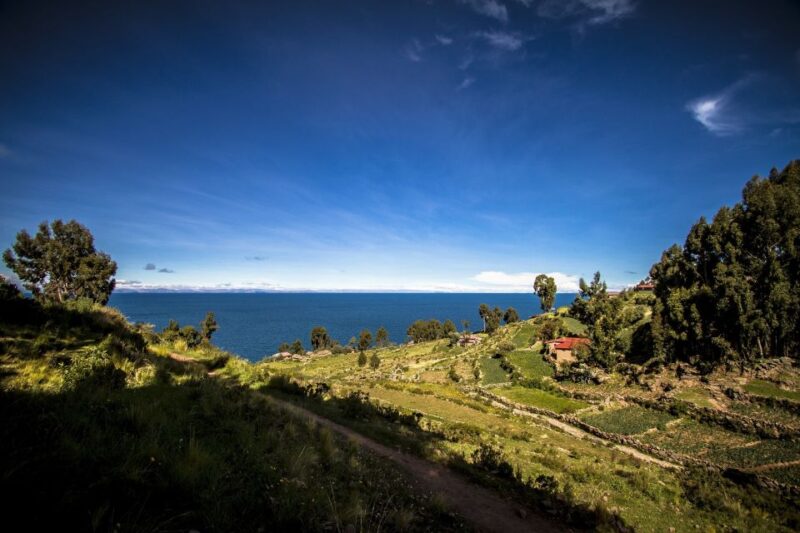 Puno: Uros and Taquile Islands Tour Including Lunch - Inclusions