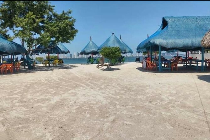 Punta Arena Island Day Tour - Meeting and Pickup