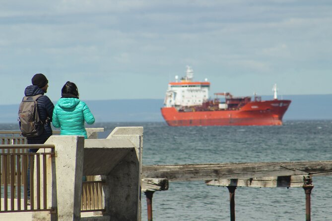 Punta Arenas Antarctic History Private City Tour - Private Guide for Personalized Experience