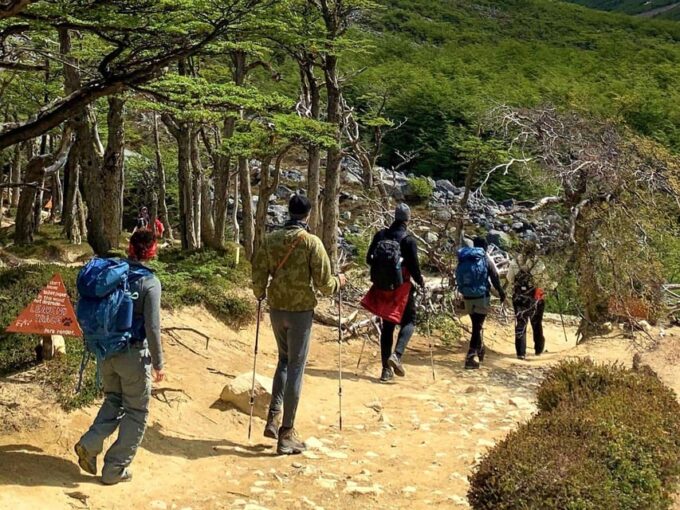 Punta Arenas: Base Torres Hike With Guide & Transport - What to Bring