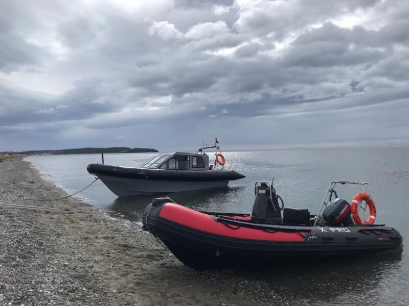 Punta Arenas: Dolphin & Wildlife Watching - Participant Requirements