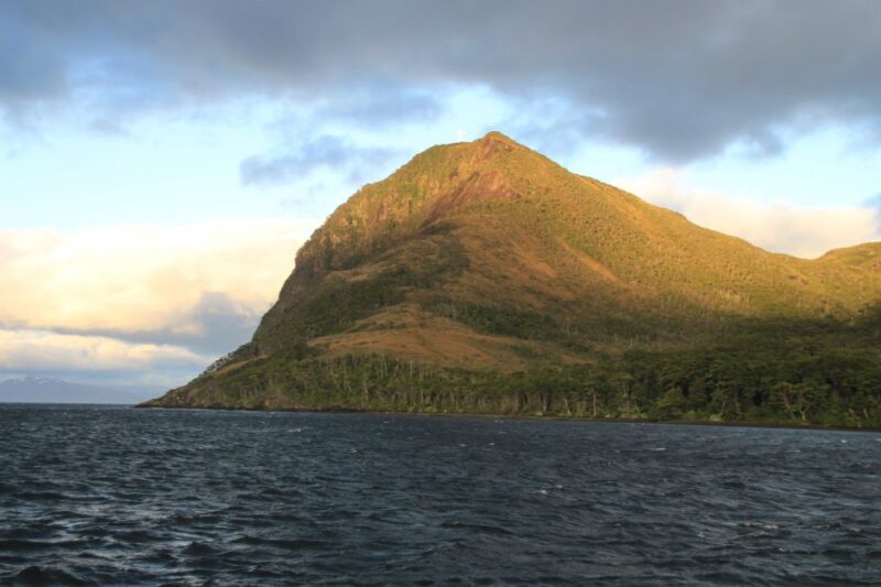 Punta Arenas: Full-Day Whales, Penguins, and Glaciers Tour - Customer Reviews and Feedback