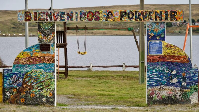 Punta Arenas: King Penguin Park and Tierra Del Fuego Trip - Itinerary Details