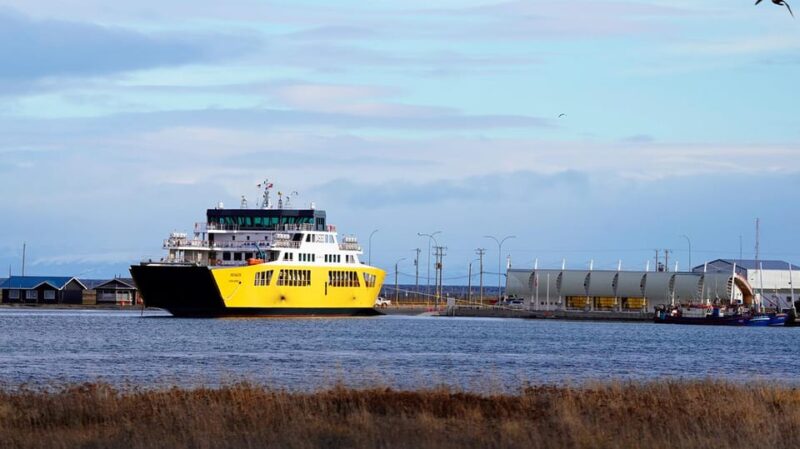 Punta Arenas: King Penguin Park and Tierra Del Fuego Trip - Inclusions