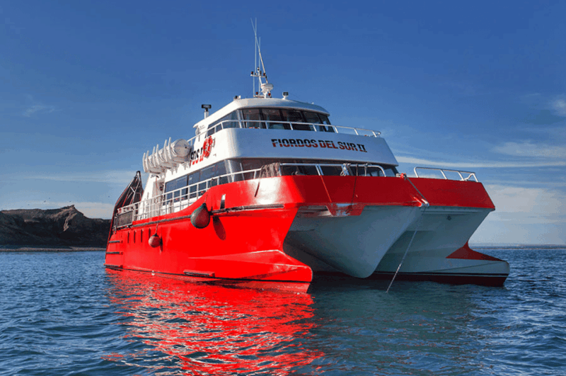 Punta Arenas: Magdalena Island Navigation & Walk W Penguins - Wildlife Viewing Opportunities