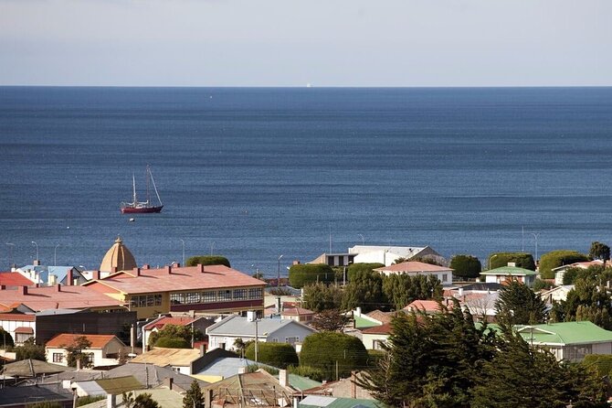 Punta Arenas Sightseeing Tour - Recap