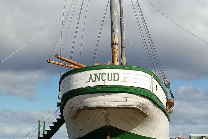 Punta Arenas & Strait of Magellan Park Value Excursion - Tour Overview