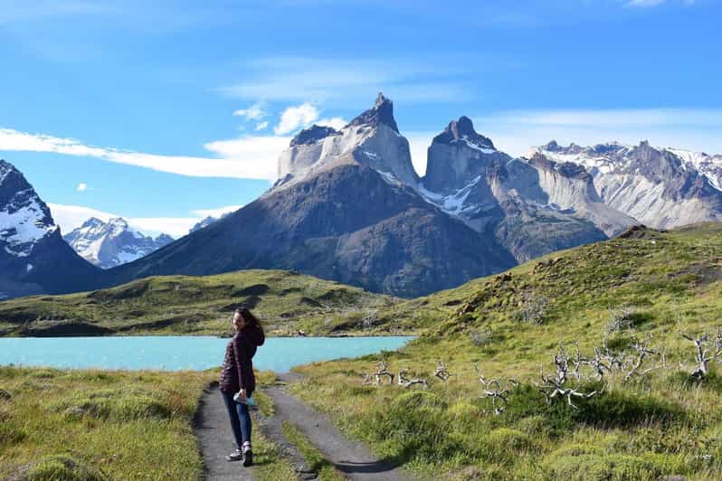Punta Arenas: Torres Del Paine & Milodon Cave Full-Day Tour - Key Points