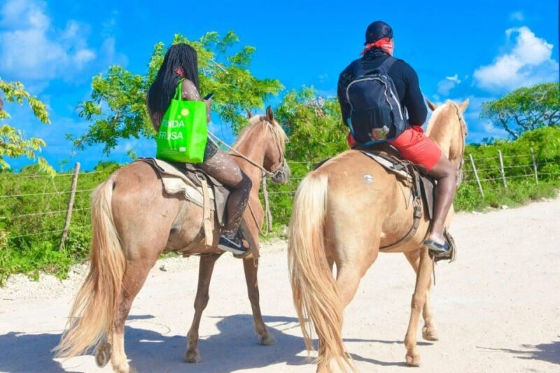 Punta Cana: 1 Hour of Horseback Riding With Hotel Pickup - Exploring Punta Canas Scenic Beaches