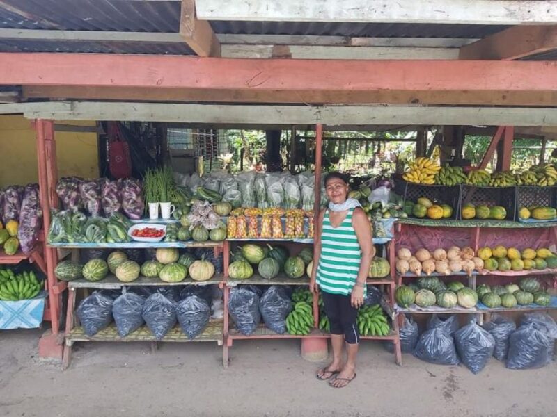 Punta Cana: 3 Hour Panoramic With Artisan Market Small Group - Key Points