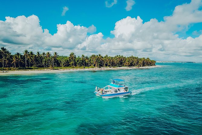 Punta Cana Adult Only Coral Nursery Snorkeling With Seafood Lunch - Customer Reviews