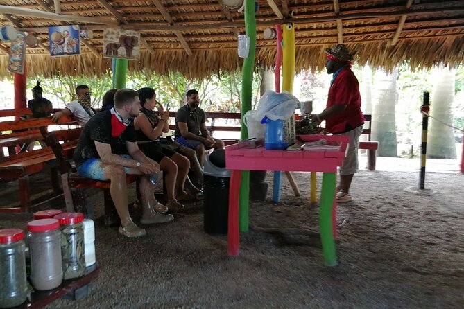 Punta Cana Adventure: Offroad 4x4 ATV - Cave and Macao Beach Dip - Beach and Cave Adventure