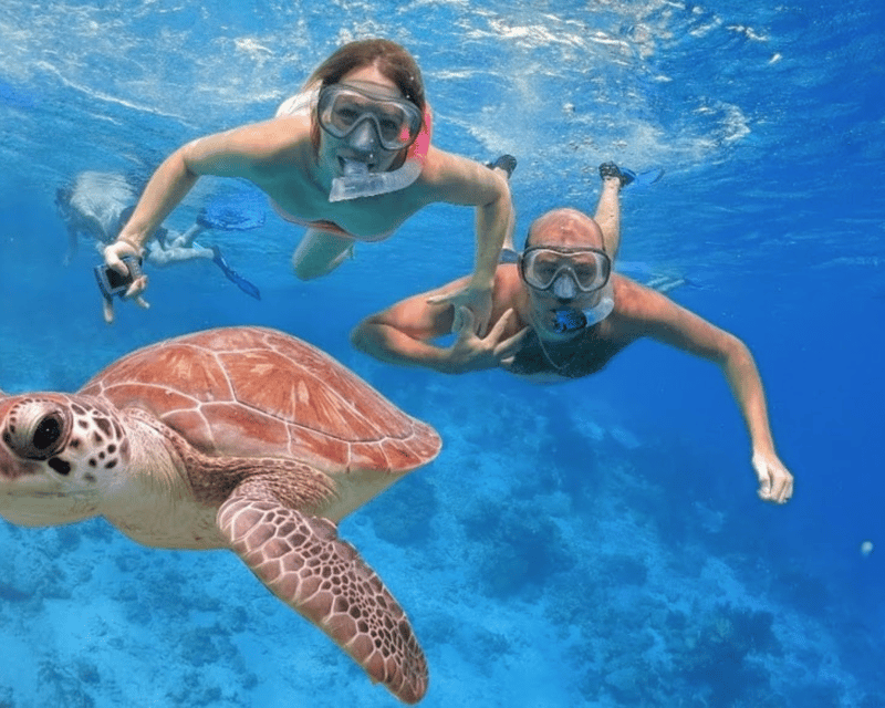 Punta Cana: Amazing Catamaran Adventure to Saona Island With Lunch - Explore the Island at Your Pace