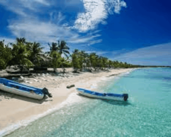 Punta Cana: Amazing Catamaran Adventure to Saona Island With Lunch - Ratings and Feedback From Satisfied Customers