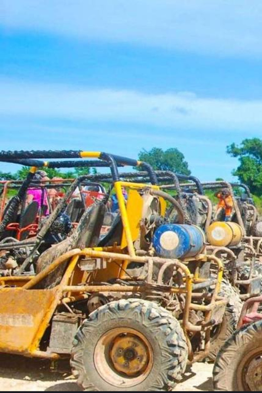 Punta Cana: Amazing Tour in Buggy Explore With Pick Up Hotel - Options for Adrenaline Seekers and Nature Lovers