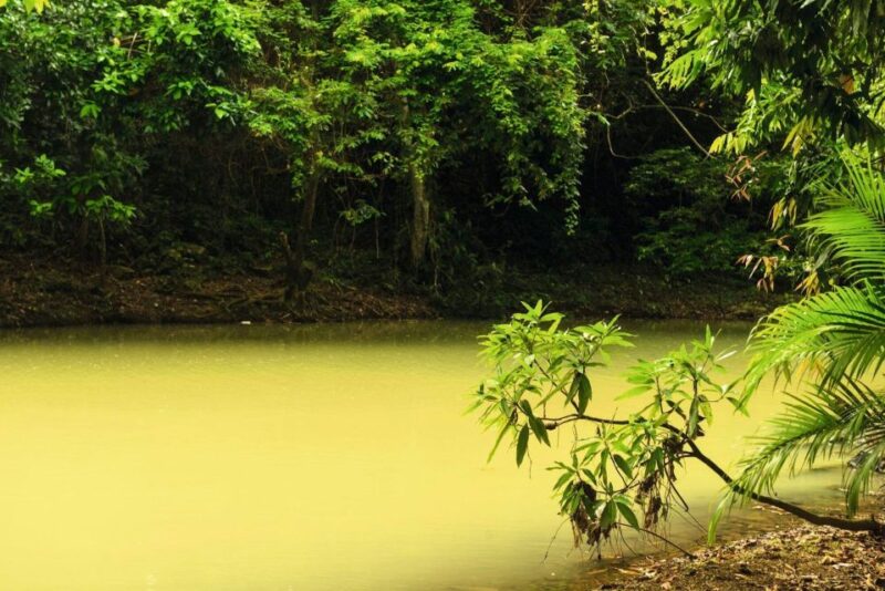 Punta Cana: Anamaya Mountains Walking Tour With Tasting - Key Points