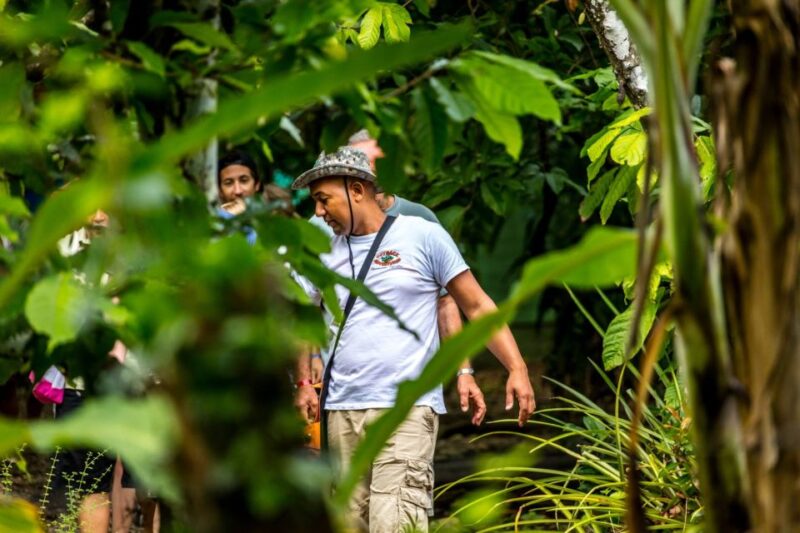 Punta Cana: Anamaya Mountains Walking Tour With Tasting - Experience and Highlights
