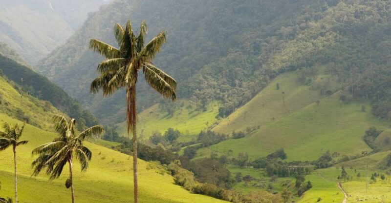 Punta Cana: Anamaya Mountains Walking Tour With Tasting - Transportation and Logistics