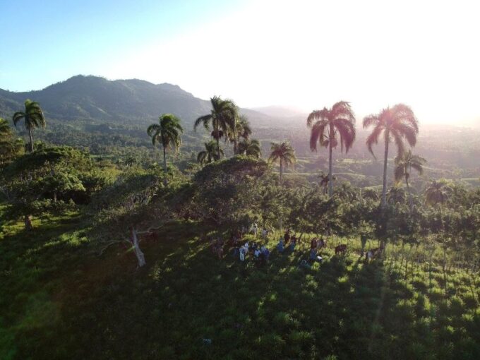 Punta Cana: Anamaya Mountains Walking Tour With Tasting - Tasting Local Delicacies