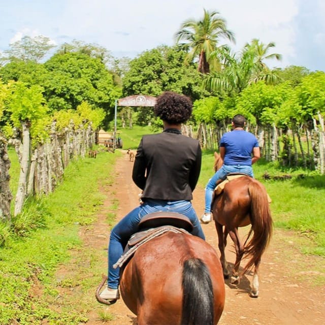 Punta Cana: ATV and Horseback Ride Adventure Tour - Booking Options