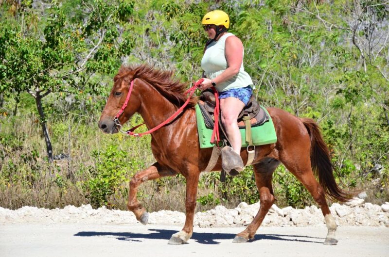 Punta Cana: Bávaro Adventure Park Horse Riding & Waterfalls - Experience Highlights