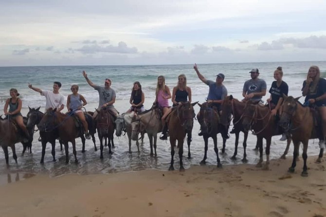 Punta Cana Beach Horseback Riding - Customer Reviews