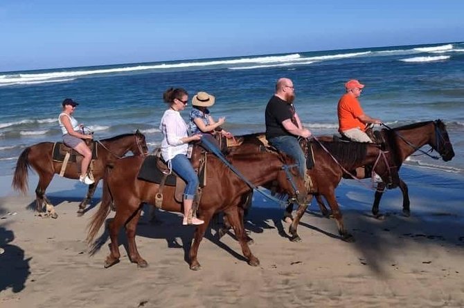 Punta Cana Beach Horseback Riding - Booking and Confirmation