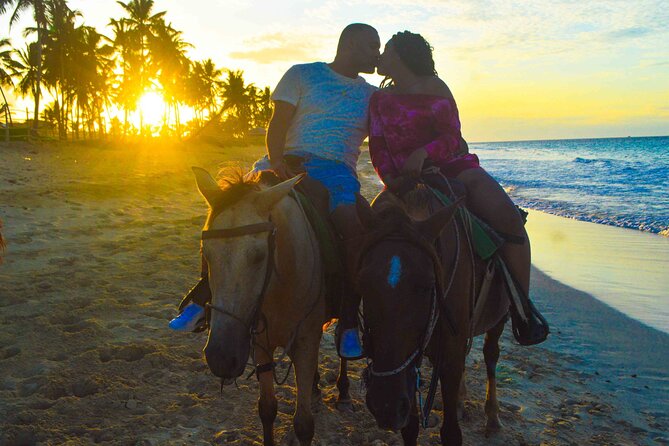 Punta Cana Beach Sunset Horseback Riding Activity - Guest Experiences and Feedback
