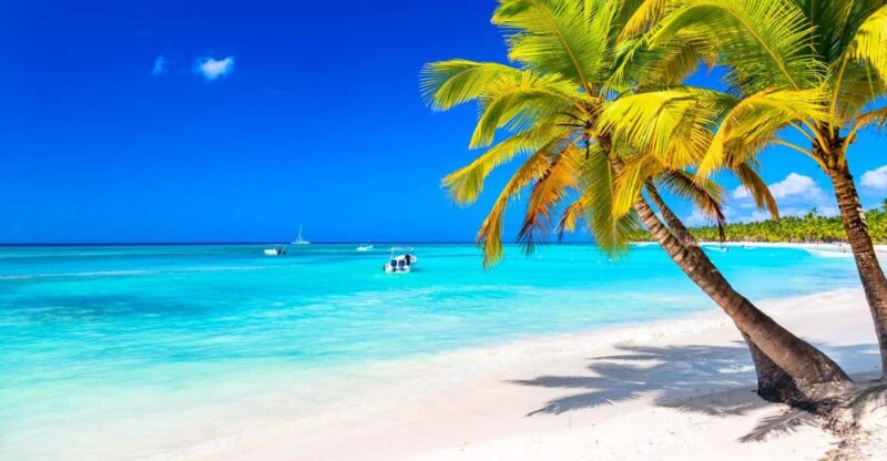Punta Cana: Boat Tour to Isla Saona, Open Bar & Buffet Lunch - Key Points