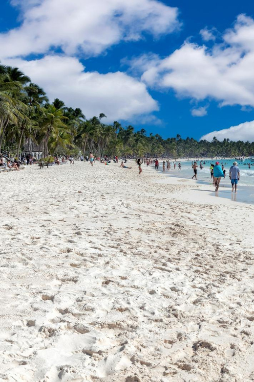 Punta Cana: Boat Tour to Isla Saona, Open Bar & Buffet Lunch - Highlights and Activities
