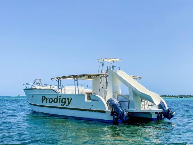 Punta Cana Booze Cruise Snorkel, Sand-Bar With Entertainment - Key Points