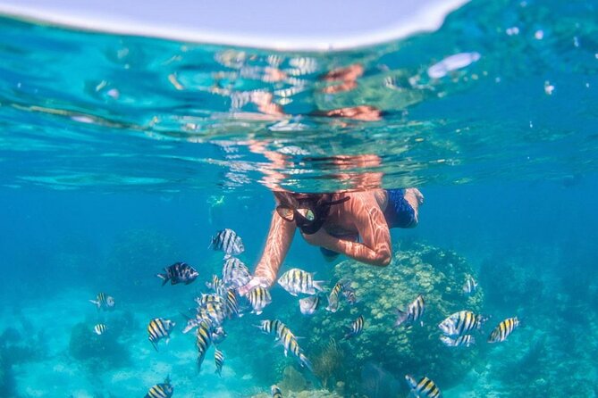 Punta Cana Booze Cruise, Snorkeling, Sand-Bar With Entertainment - Appetizers and Fruits