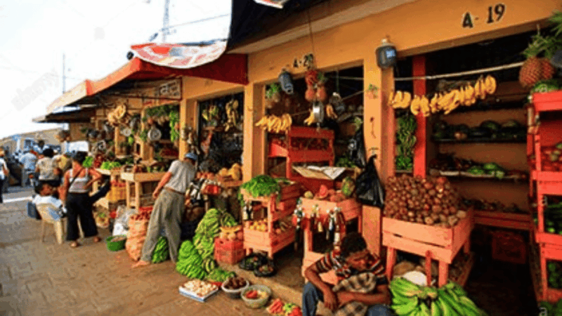 Punta Cana: Buggy Excursions With Hotel Pickup and Adventure - Languages Offered