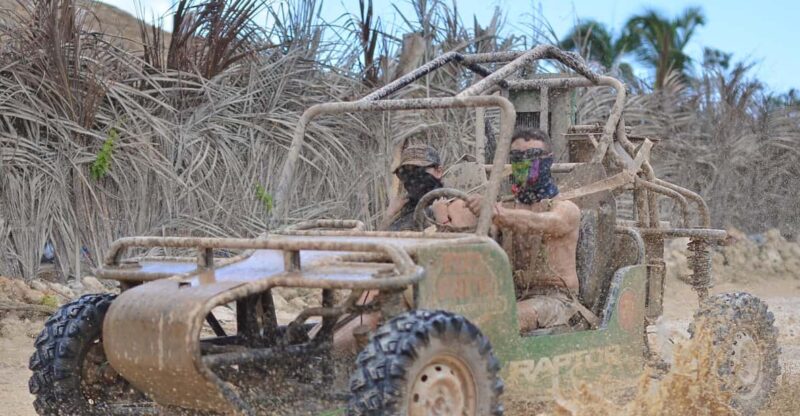 Punta Cana Buggy & Taino Cave, Macao Beach, and Coffee Tour - Key Points