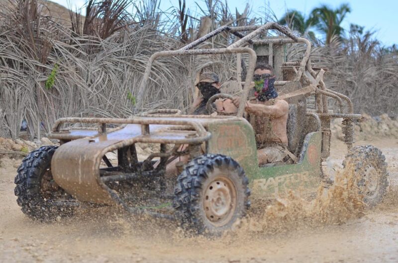 Punta Cana Buggy & Taino Cave, Macao Beach, and Coffee Tour - Activities and Highlights