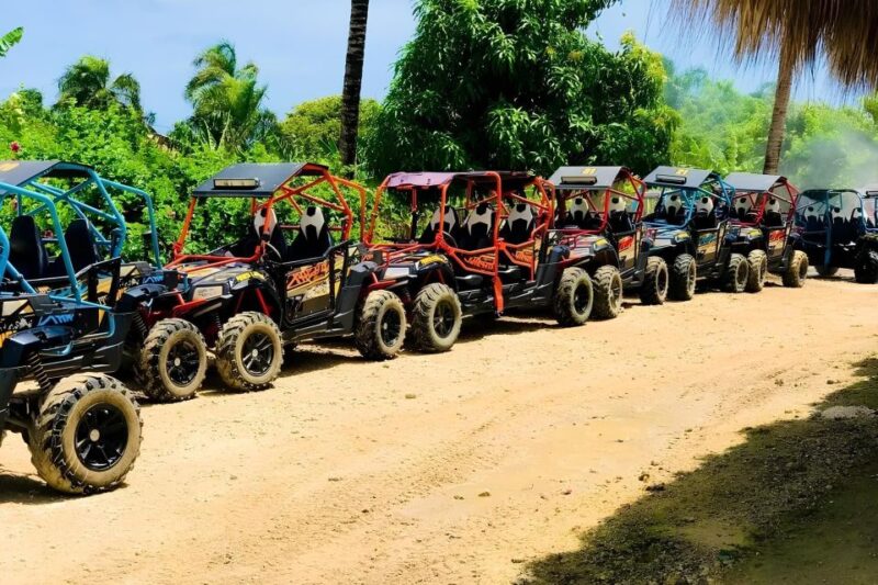 Punta Cana: Buggy Tour With Beach and Cenote - Tour Details