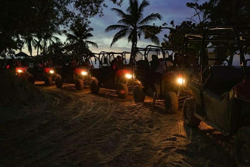 Punta Cana: Buggy Tour with Cenote Swim and Dinner - Price and Value