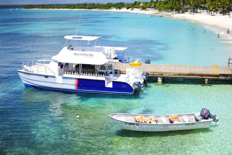 Punta Cana: Catalina Island and Snorkeling Day - Key Points