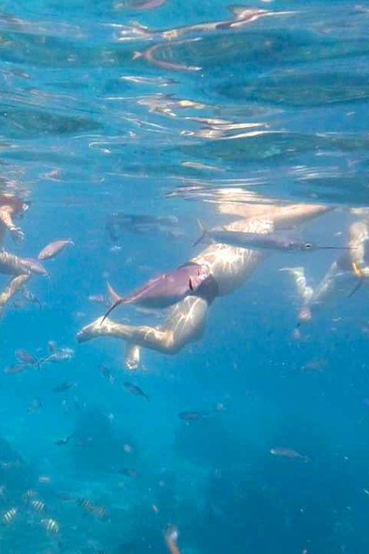 Punta Cana: Catalina Island and Snorkeling Day - Safety and Guidelines
