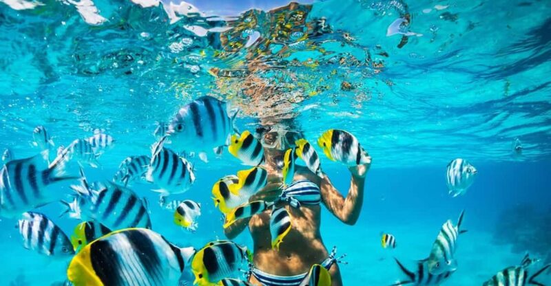 Punta Cana: Catalina Island and Snorkeling Day - Booking Information