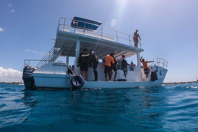 Punta Cana: Catalina Island Day Trip and Snorkeling - Whats Included in the Tour