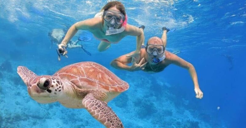 Punta Cana: Catalina Island Day Trip With Snorkeling - Experience Highlights