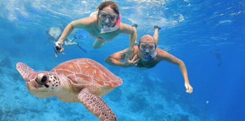 Punta Cana: Catalina Island Day Trip With Snorkeling - Included Amenities