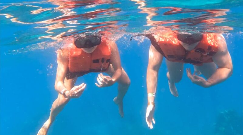 Punta Cana: Catalina Island Private Day Trip With Snorkeling - Inclusions and Transportation