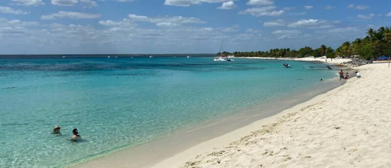 Punta Cana: Catalina Island Snorkeling and lunch Day Trip - The Sum Up