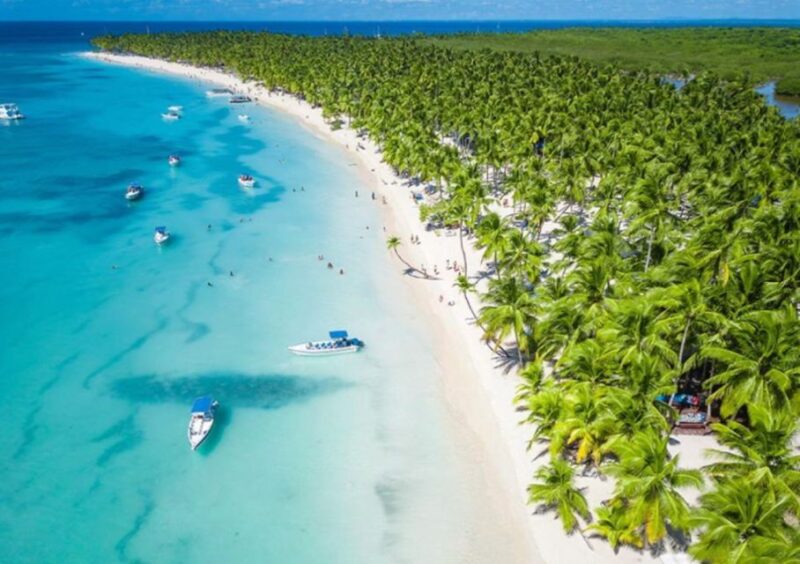 Punta Cana: Catamaran Boat to Saona Island With Buffet Lunch - Key Points